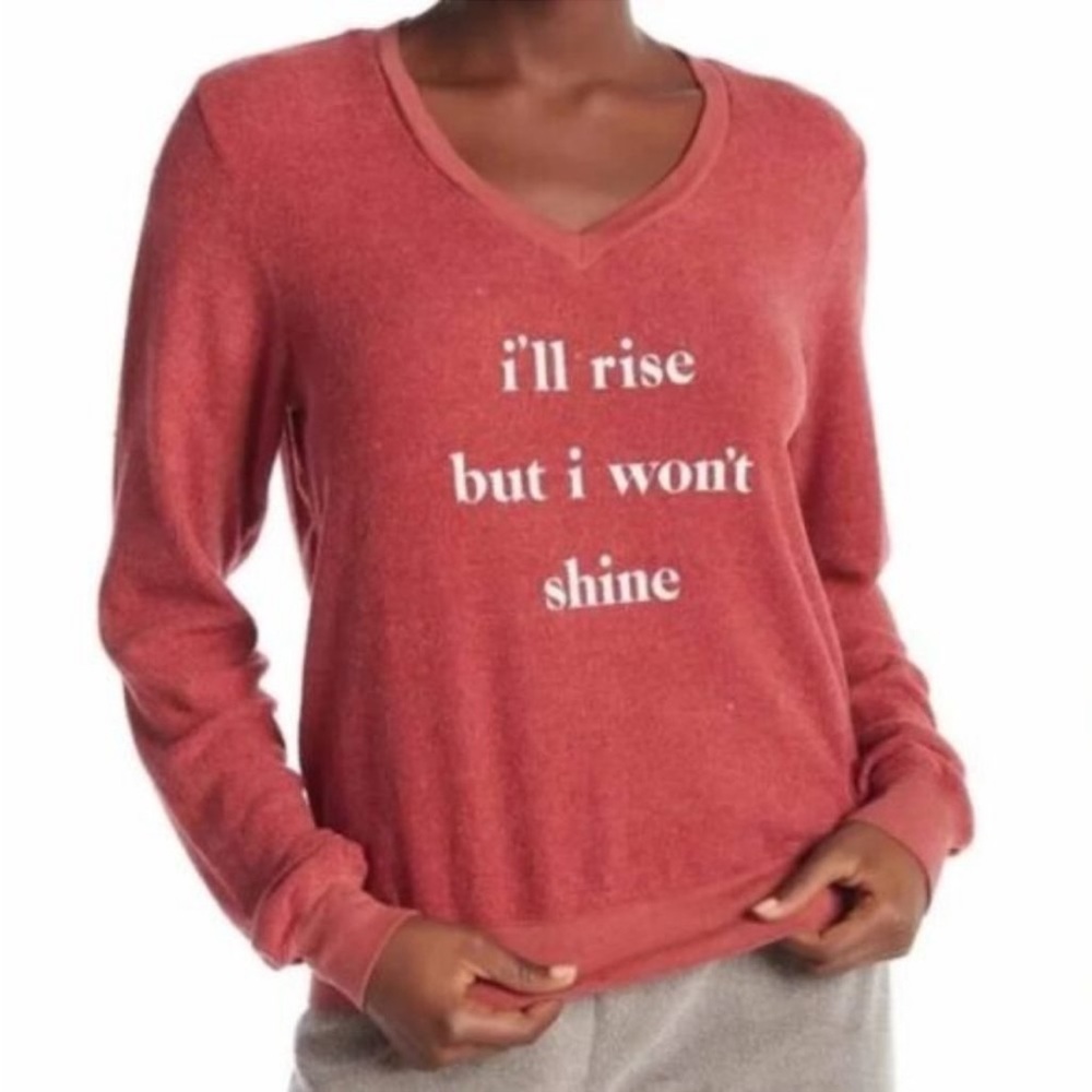 Revolve Wildfox Y2K style crewneck sweatshirt